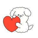 댕댕상점 이미지