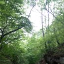 청향소림산장 이미지