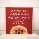 가로수길 루다갤러리Luda Gallery 유썸(USOME)전시 오픈, 전시 진행중이예요 :D