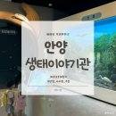 양서어린이집 | 안양 아이랑 가볼만한 곳 🌱 안양천생태이야기관 방문 후기 (1편)