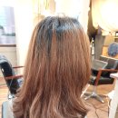 서호동-32 이미지