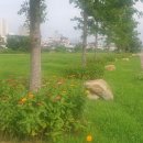 봉산동 행정복지센터 이미지