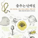 (사)영화로세상을아름답게 루리웹 뉴스보드