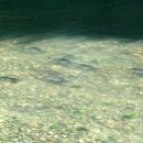 여울안경 이미지