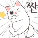 귀족미용실 이미지