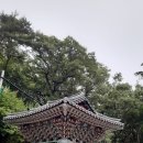 비슬산용연사와 송해공원의 6월의 모습 이미지