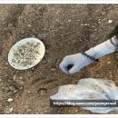 전라농장 이미지