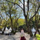 백동농장 이미지