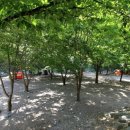 청송 얼음골 야영장 이미지