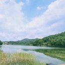 동양인문학-운명을 탐구하는 명리 | 인문학적으로 바라보는 사주명리