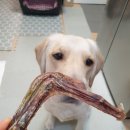 카페위드멍냠 이미지