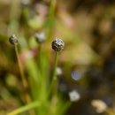 곡정초등학교 이미지