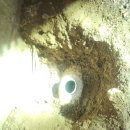 대덕농장 이미지