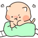 크레이지베이프송탄 네이버블로그