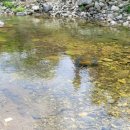 느리게걷기키즈가족펜션 이미지