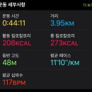 느낌있는 걸 이미지