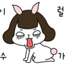 카우만 동물병원 이미지