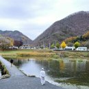 #2974 나는 누구인가? - 오늘도 山行(산행) Hiking again today 이미지