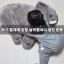 아기 침대 인형 꼭 필요할까? 10개월 아기 실제 사용 후기 (코끼리 애착인형 효과)