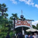 파리미키 이미지