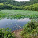 서포농장 이미지