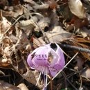 구암동112 이미지