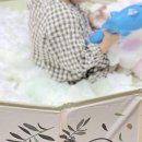 로이안