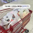 신라마트 | 아이랑 다낭 여행 4. 다낭공항-&gt; 신라모노그램 다낭 픽업 (다낭도깨비, 롯데마트 경유)