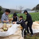 설도젓갈타운 이미지