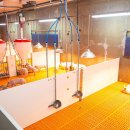 동실농장 이미지