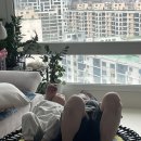 포텐스크린골프 이미지