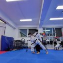 540태권도장 이미지