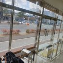 포항중앙동물병원 이미지