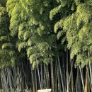 대한목장 이미지