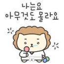 중리태권도 이미지