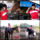 훼밀리승마클럽 이미지