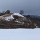 황태덕장 이미지