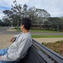 [남부] 노래교실 | 당신이 운동하지 않는이유와 해결책(어디서도 요약해서 알려주지않는 10분안에 삶을 변화시키는 깨달음)