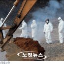 안성 서면농장 이미지