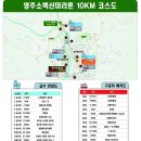 (주)소백산한우 | [마라톤 후기]벚꽃길을 달리다! 2026 소백산 마라톤 대회 코스 및 운영팁