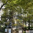 씨유산본우륵타운점 | 산본 임장 후기