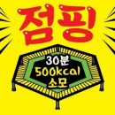 모두의점핑다이어트
