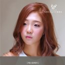 더펌 이미지