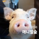 숲 | 부산 실내 동물원 이색 데이트 애니멀숲 평일 낮 후기