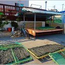 화진리 구진마을 앉은 줄다리기 이미지