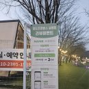 [청도 겨울여행] 청도 프로방스 글램핑 숙박 후기