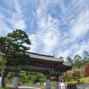 흰사슴한의원 | [220715-17] 뚜벅이 2박 3일 산청여행 상편