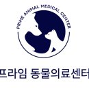 프라임 동물의료센터 이미지