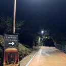 음악세계 | 캔들라이트 콘서트 : 히사이시 조의 음악세계 아티레 콰르텟 후기 | 지브리 OST 모음 (부산 누리마을...