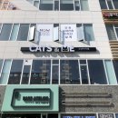 캣츠앤미 이미지